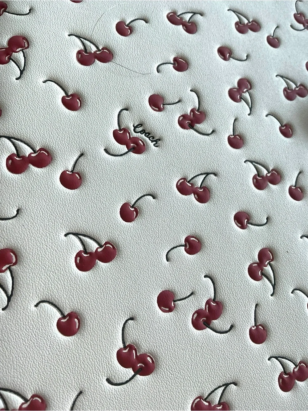 Coach Cherry Print Notebook Journal Snap Closure White Red NWT